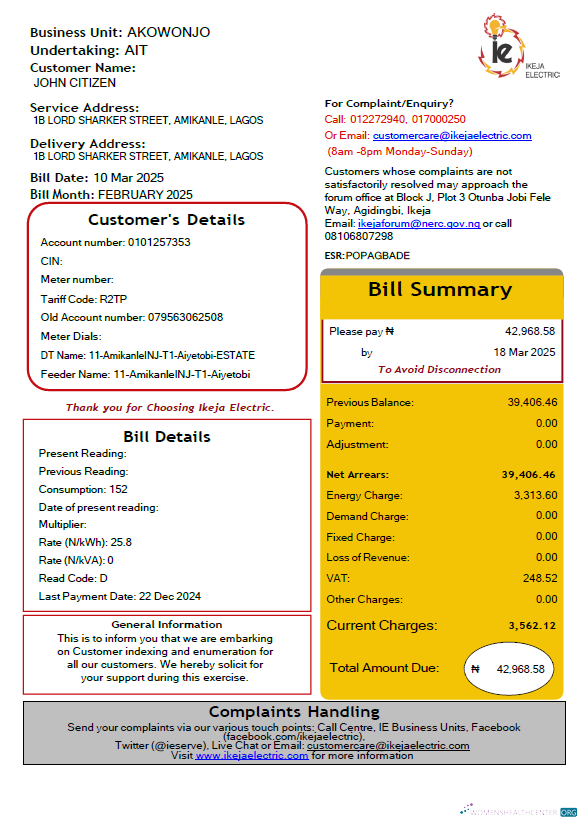 download download Nigeria IKEJA Electric utility bill template in Word and PDF formats PDF template PDF template